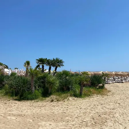 Horizon 25 'б' 圣弗拉斯